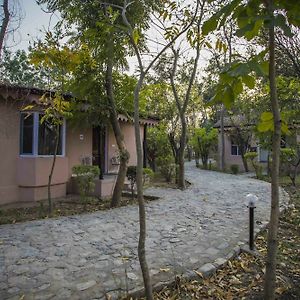 Ashokas Tiger Trail Resort